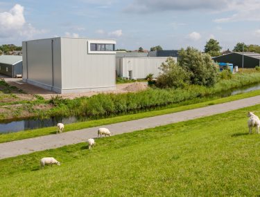 Winterstalling met dijk en schapen